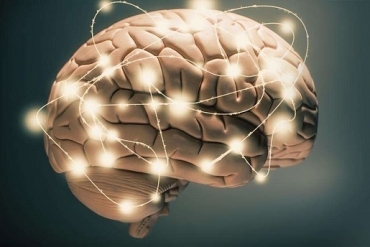 Công dụng của Citicoline đối với não bộ là gì